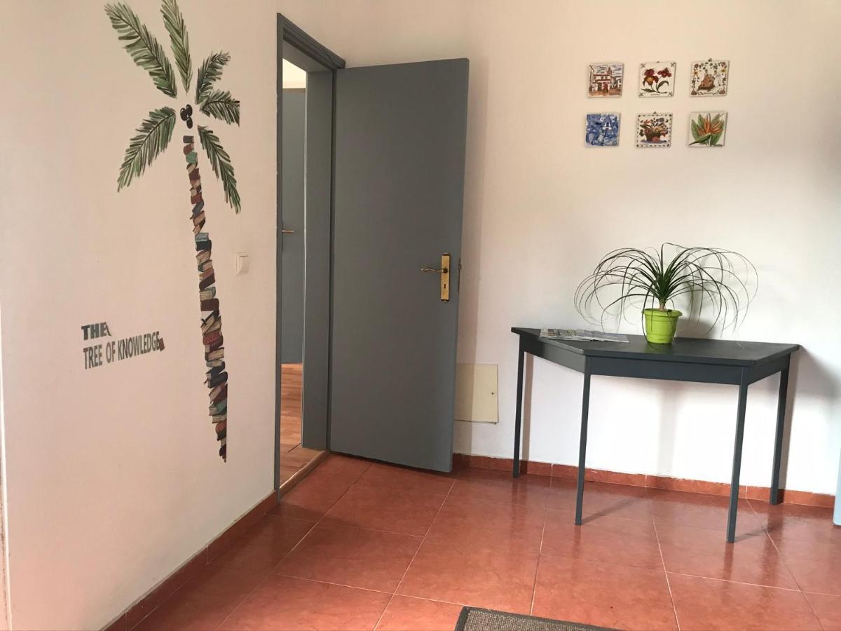 Casa Vista Do Ledo Villa Arco da Calheta  Eksteriør billede